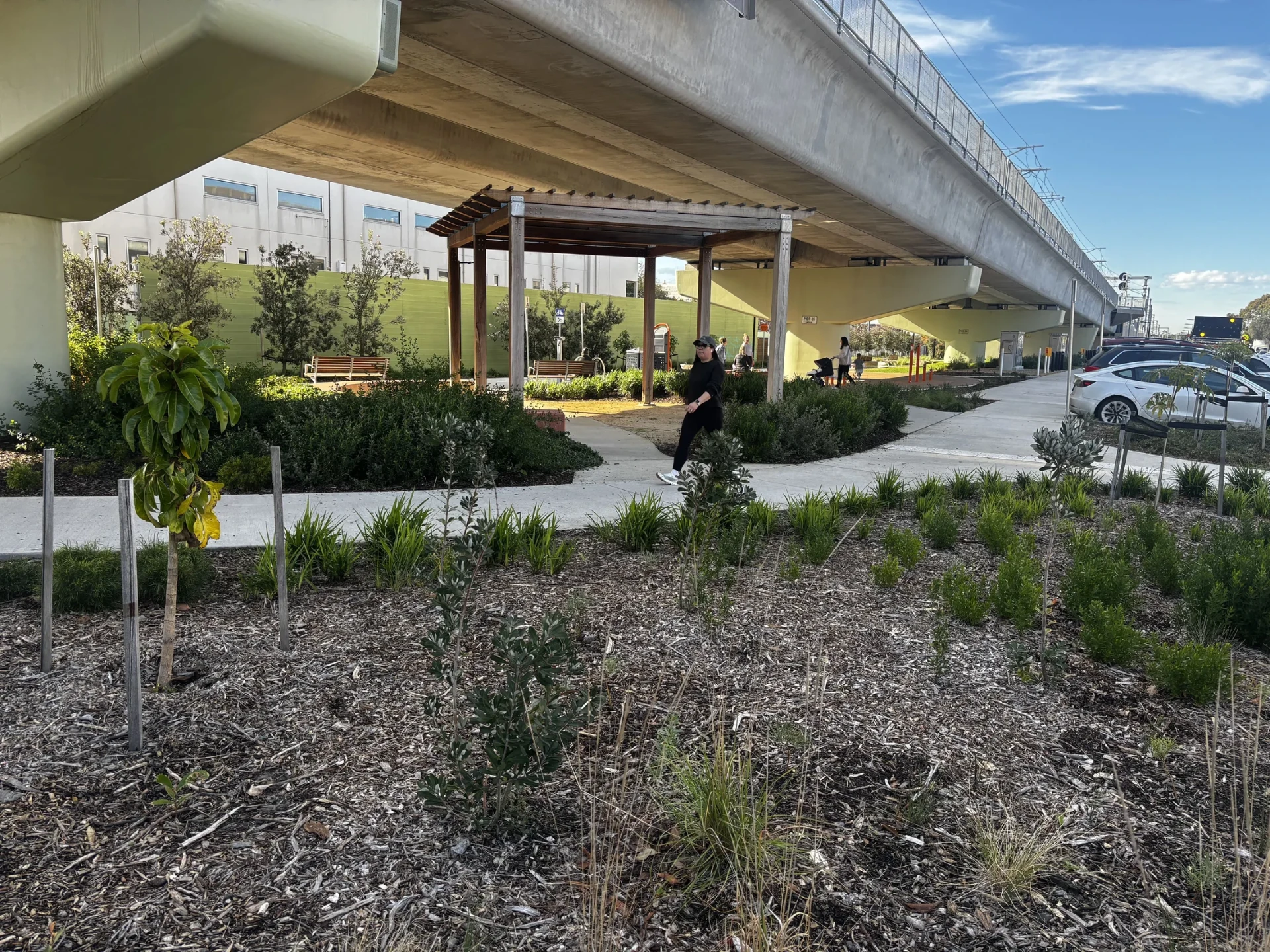 Established plantings, mulched beds and finished concrete paths in a completed public open space.